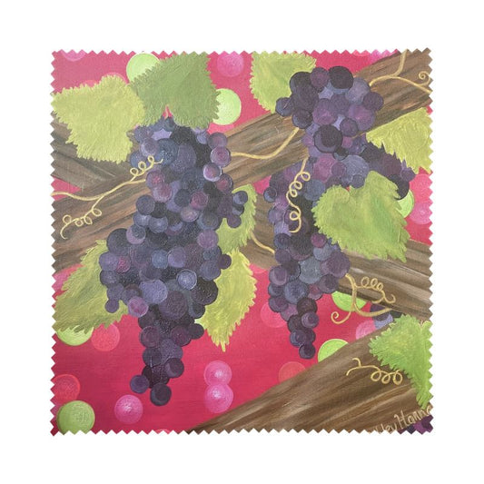 Set of 4 Fruit Themed Glasses Cleaning Clothes