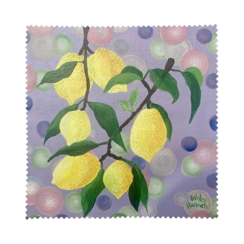 Set of 4 Fruit Themed Glasses Cleaning Clothes